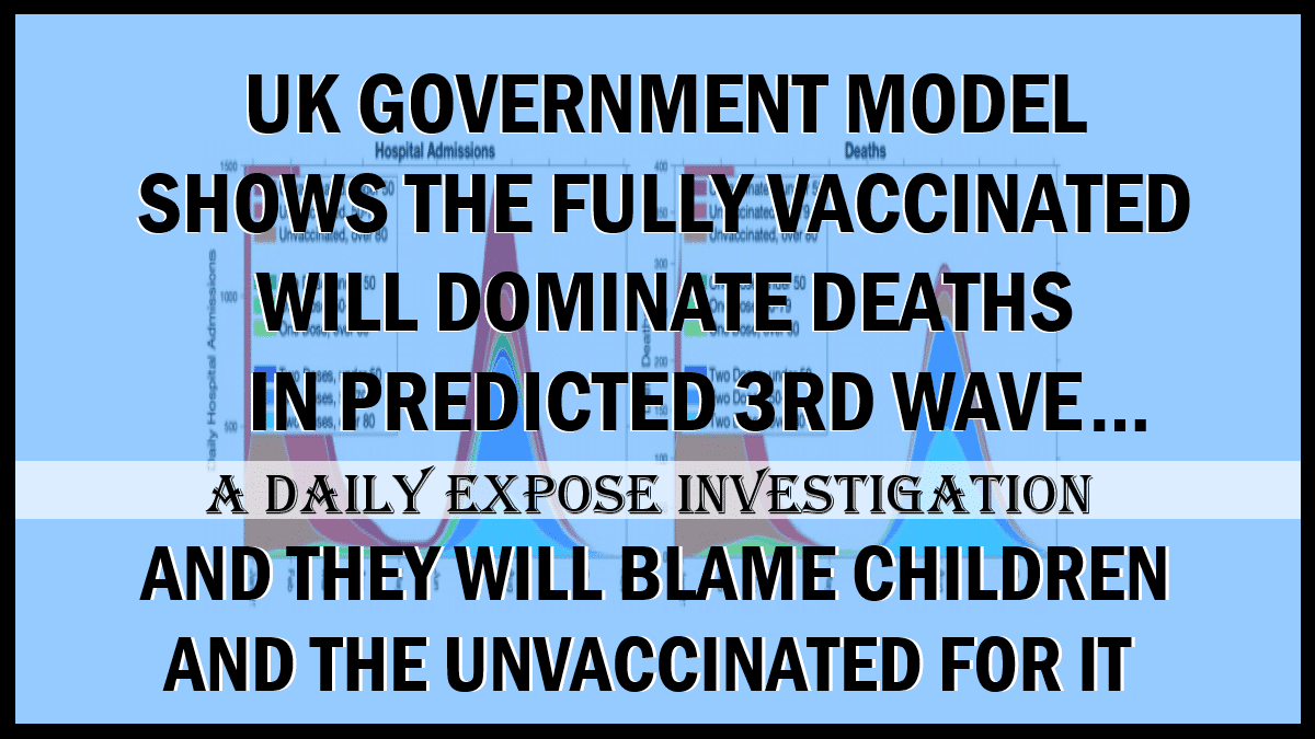 Investigation – UK Government model states the fully Vaccinated will dominate Deaths in 3rd wave and they will blame Children and Unvaccinated for it - The Expose