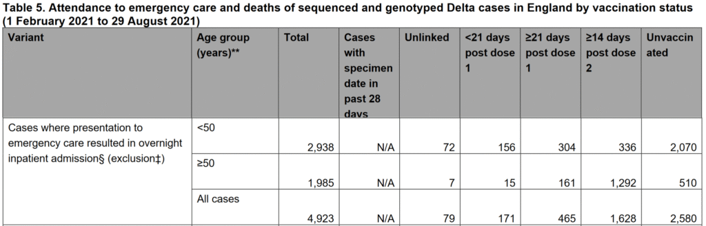 image-88 - The Expose