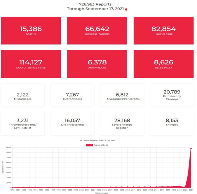 image-73 - The Expose