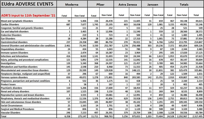 image-74 - The Expose