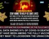 91 PERCENT - The Expose