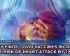 RISK OF HEART COVID JAB - The Expose