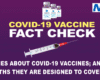 FACT CHECK 18 LIES ABOUT COVID VACCINES - The Expose