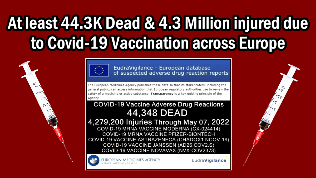 At least 44.3K Dead & 4.3 Million injured due to Covid-19 Vaccination across Europe - The Expose