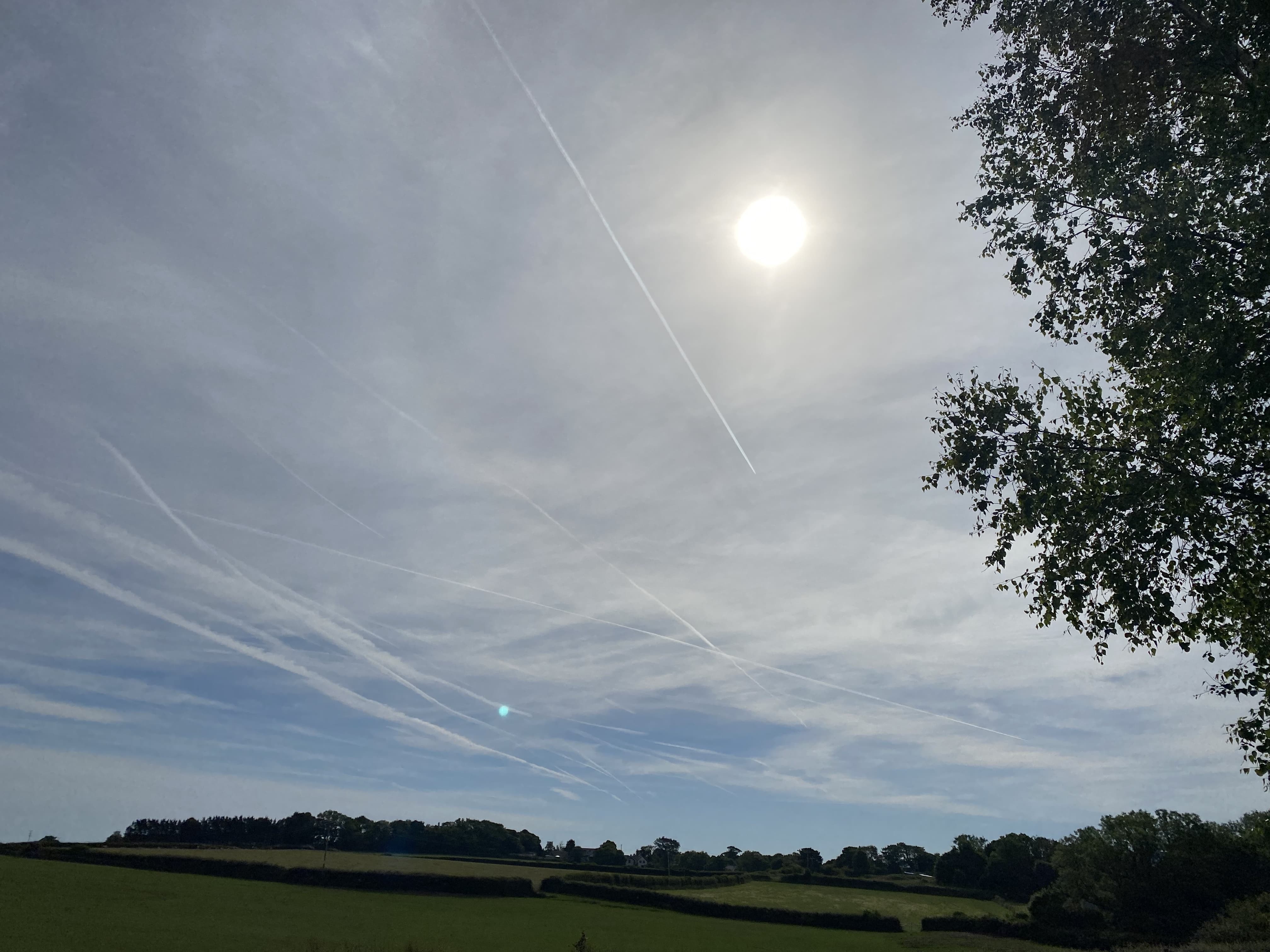 Anglesey, Wales, 16 June 2022
