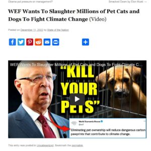 ourpets.JPG