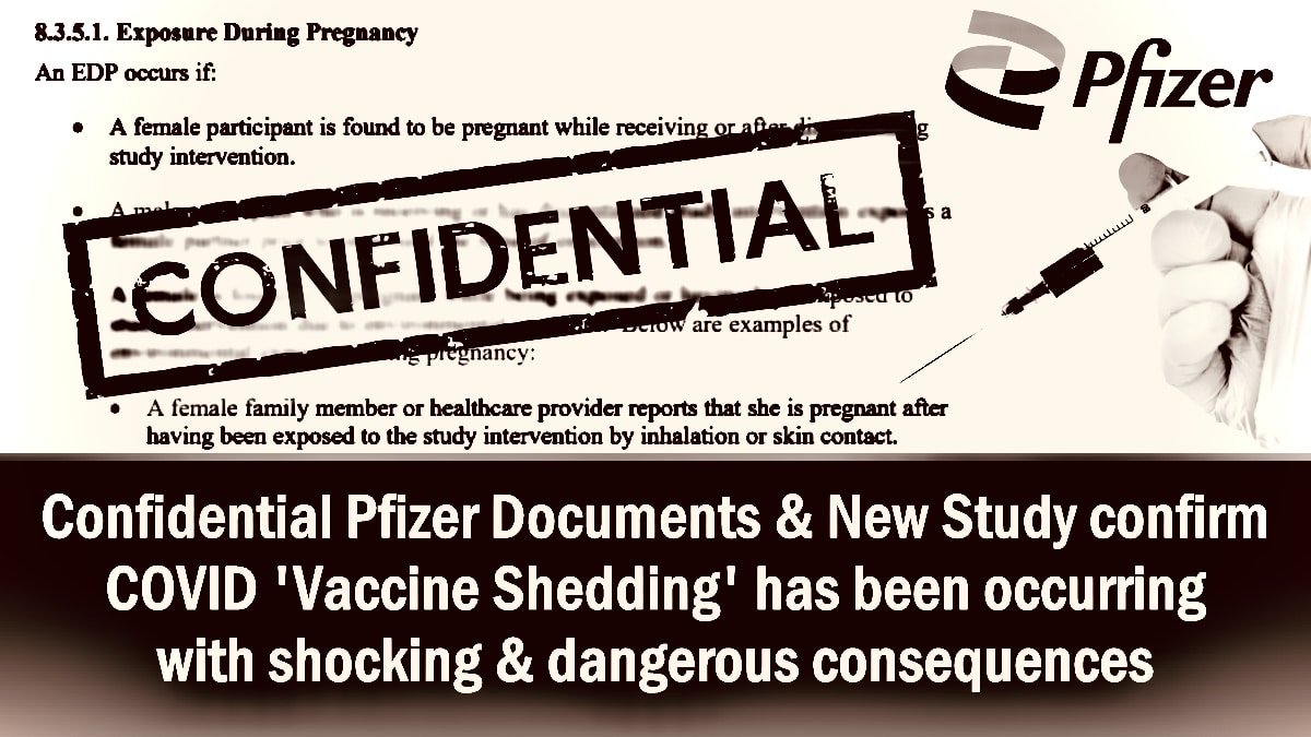 New Study & Confidential Pfizer Documents confirm mRNA ‘Vaccine Shedding’ has been occurring with shockingly dangerous consequences - The Expose