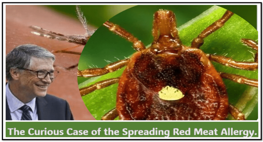 Spreading-meat-allergy-3 - The Expose
