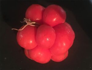 tomato.jpg