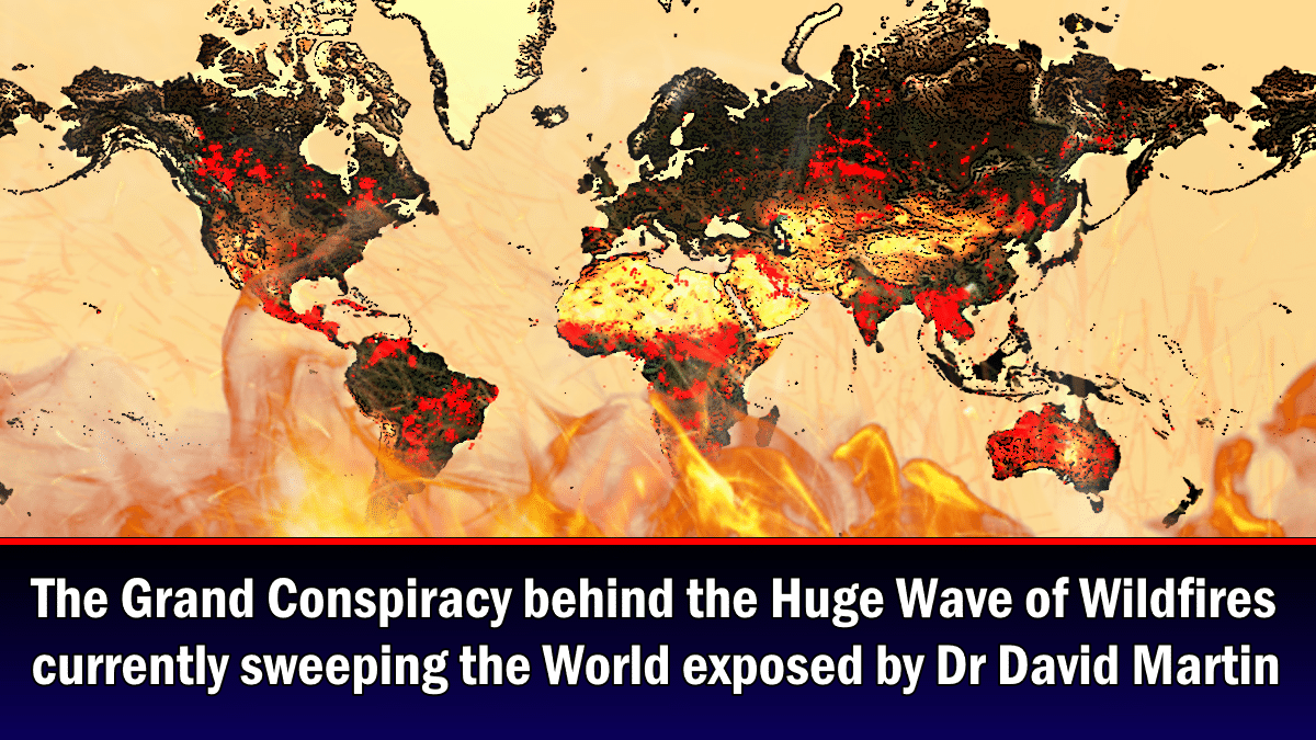The Conspiracy behind the Huge Wave of Wildfires currently sweeping the World exposed by Dr David Martin - The Expose