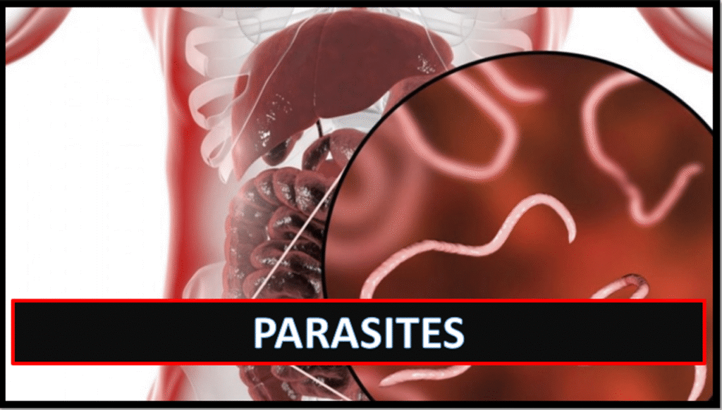 Parasites - The Expose