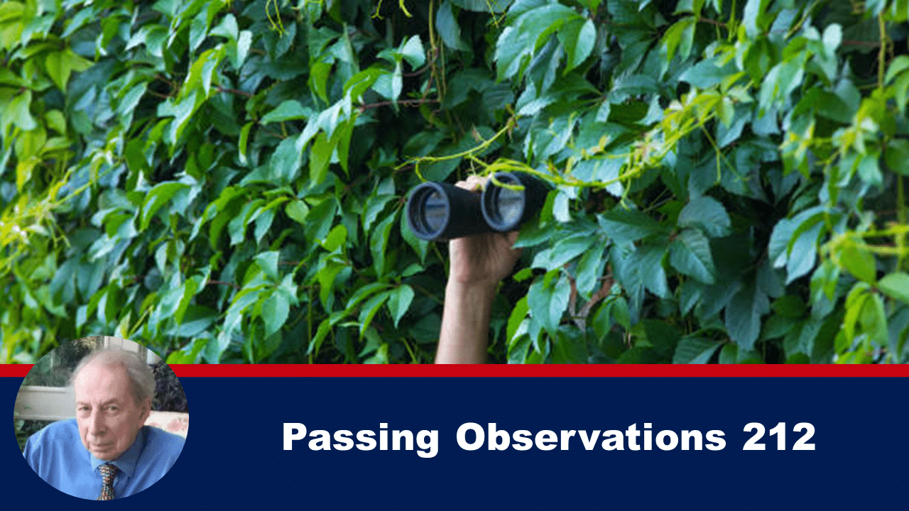 FeatNov11 - The Expose