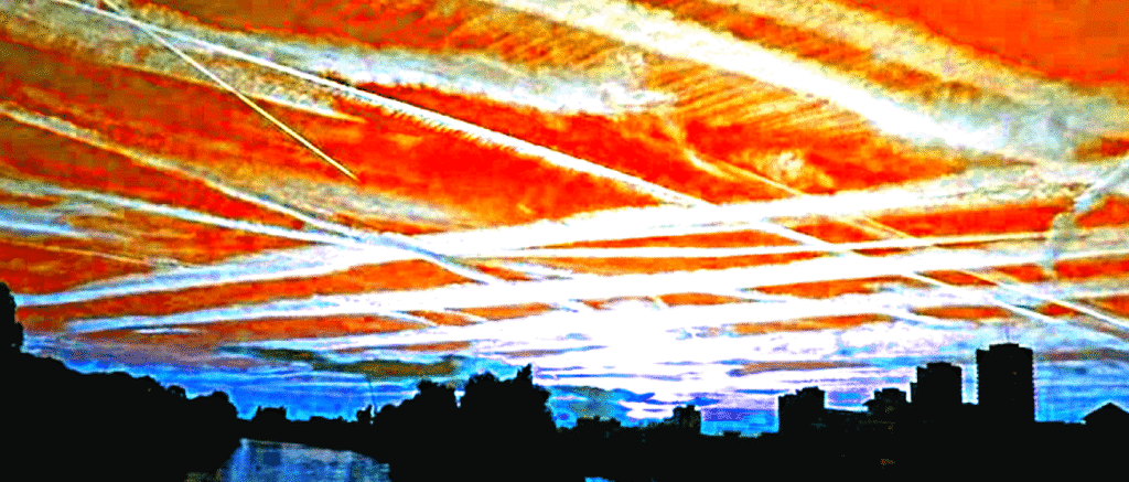 image-209 - The Expose