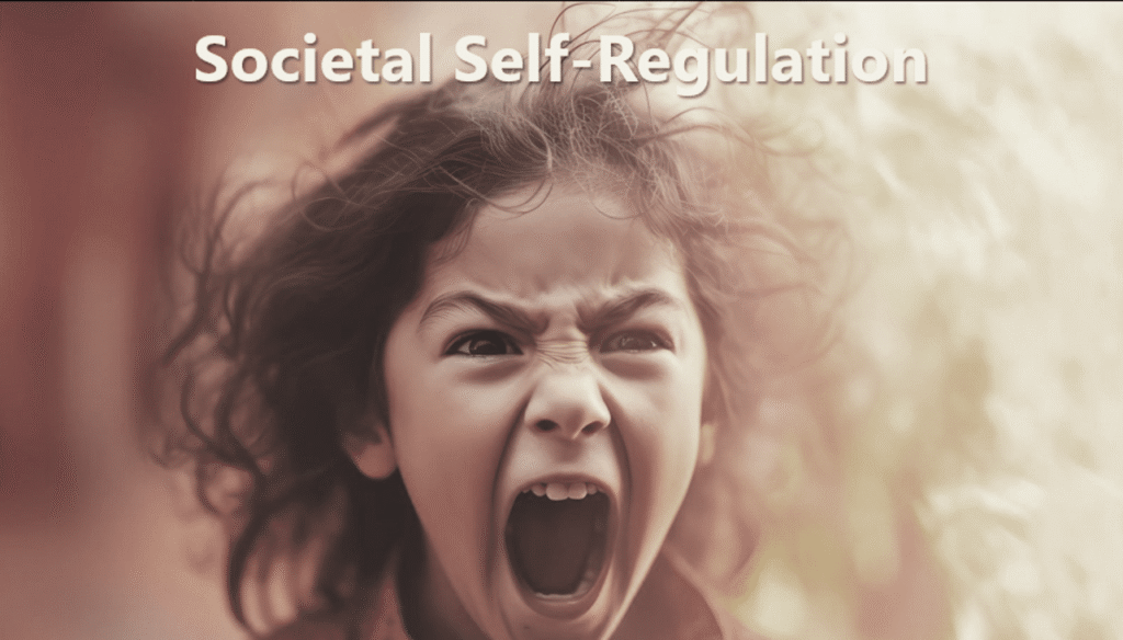 Societal-self-regulation - The Expose