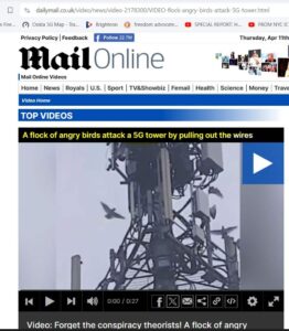 birds_know.JPG