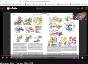 ribosomes.JPG