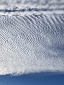 08B2891D-D94A-448A-81C9-0F05F03AE242.jpeg