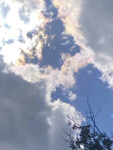 21C85096-6BC9-40A2-BF7A-C253A54A594F.jpeg