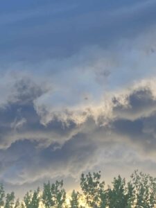 3C12DA23-58A2-4463-A77C-863F080490F7.jpeg