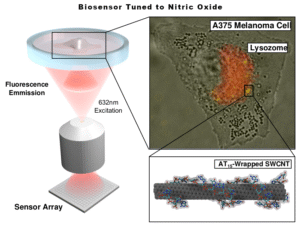 biosensor