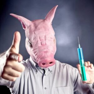 mezek-cannibals-pig-1-500x500