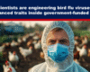 Expose News UK scientist in protective gear amidst a chicken farm, tackling bird flu research. Are these government labs hatching the next big breakthrough?