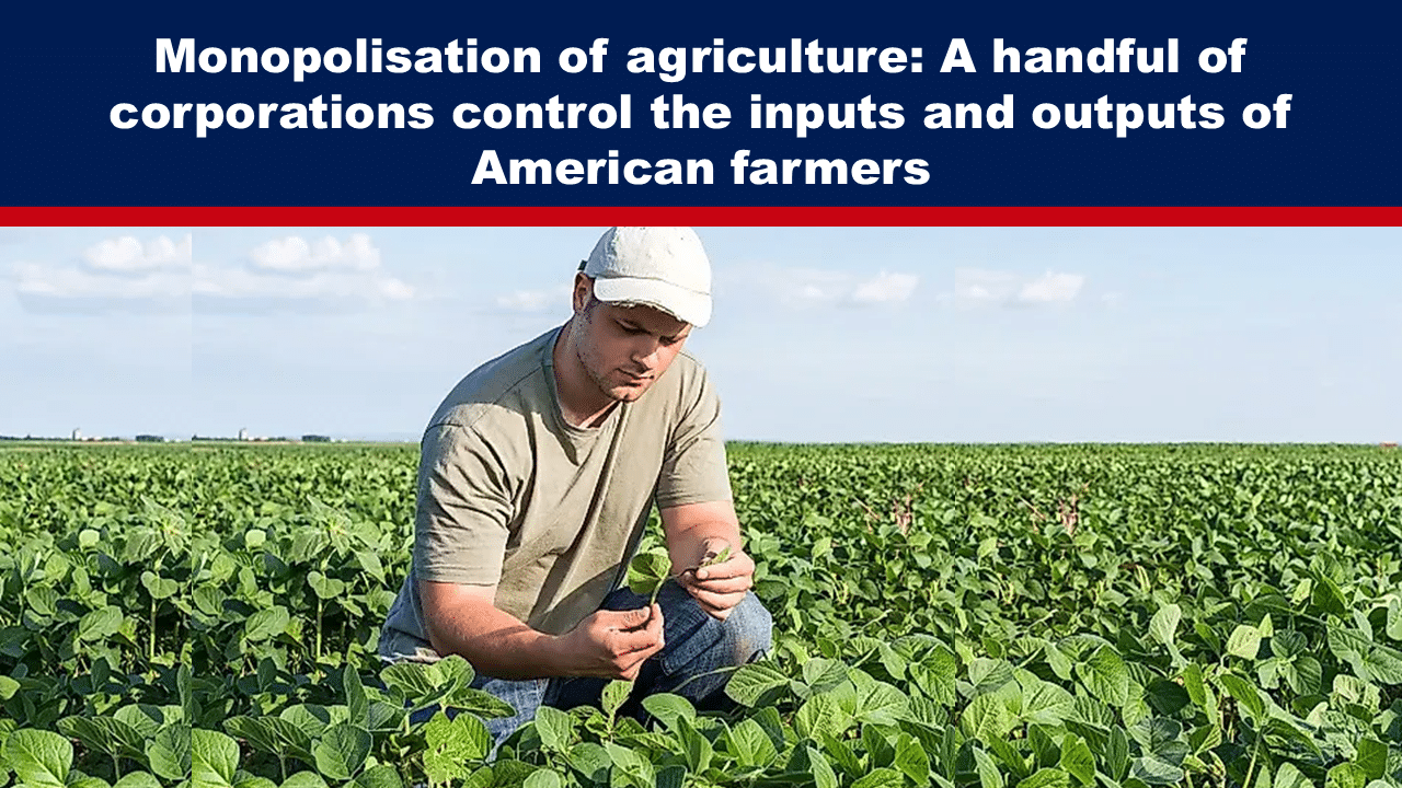 Expose News: American farmer inspects crops as big corporations control agriculture inputs and outputs, spotlighting industry monopolisation concerns.