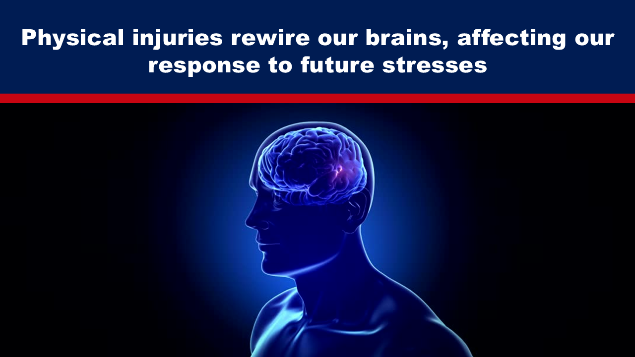 Physical injuries rewire our brains, affecting our response to future stresses - The Expose thumbnail