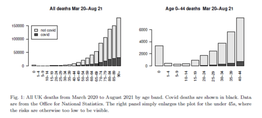 Expose News: Chart of UK deaths (Mar 2020-Aug 2021) by age, showcasing COVID-19 impacts. Highlights clear data: Covid response wasn't a mistake!