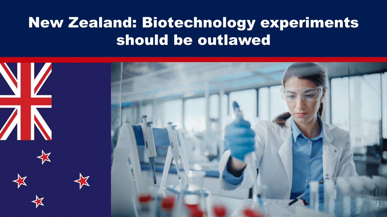 Expose News: Scientist in a lab argues against biotechnology experiments in New Zealand, sparking debate on their legality.