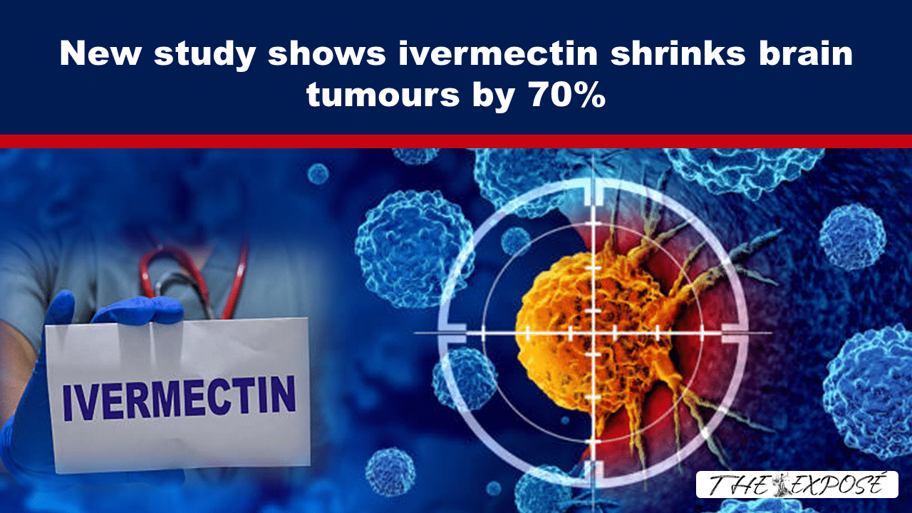 New study shows ivermectin shrinks brain tumours by 70% - The Expose thumbnail