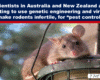 - The Expose Expose News: Scientists in Australia and New Zealand try using genetic engineering and viruses to make rodents infertile for pest control.