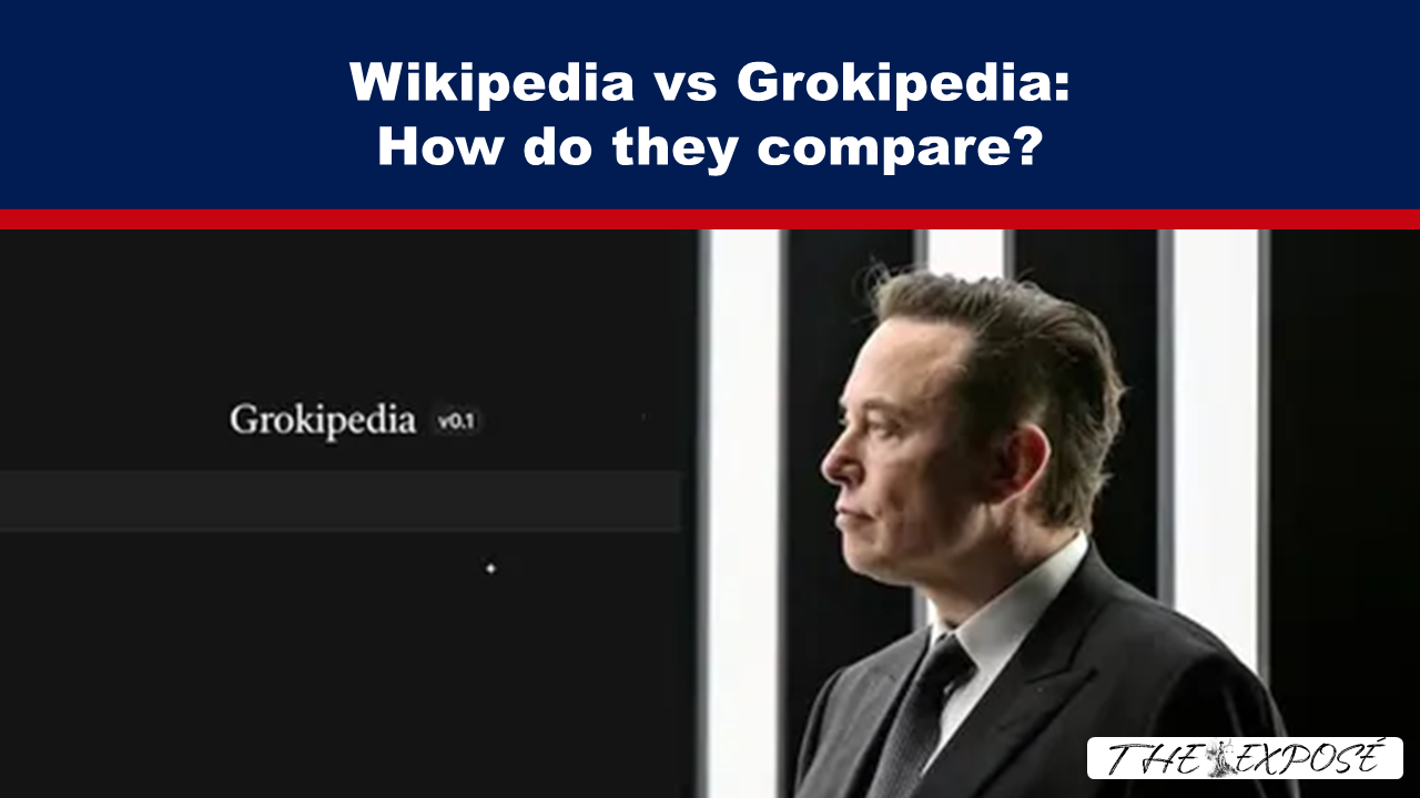 Wikipedia vs Grokipedia: How do they compare? - The Expose thumbnail