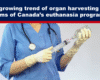 Expose News: Doctor prepares syringe, highlighting organ harvesting concerns in Canada's euthanasia program. A heated topic that's turning heads worldwide!