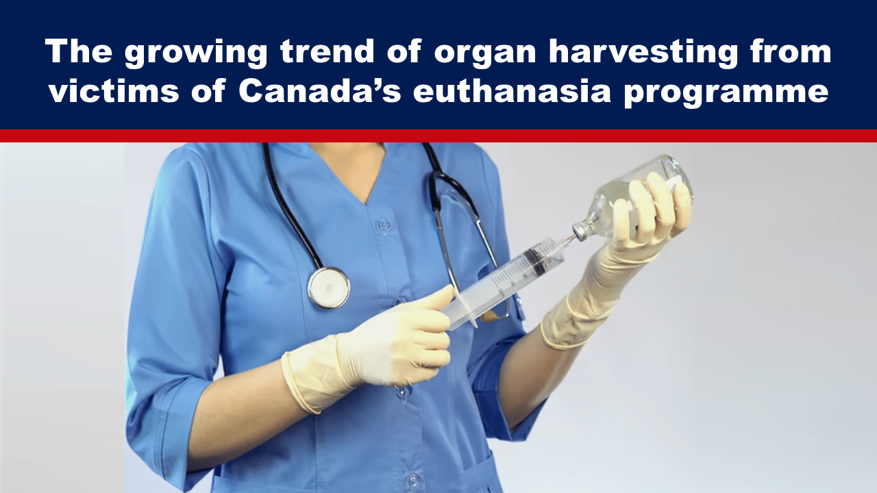 Expose News: Doctor prepares syringe, highlighting organ harvesting concerns in Canada's euthanasia program. A heated topic that's turning heads worldwide!