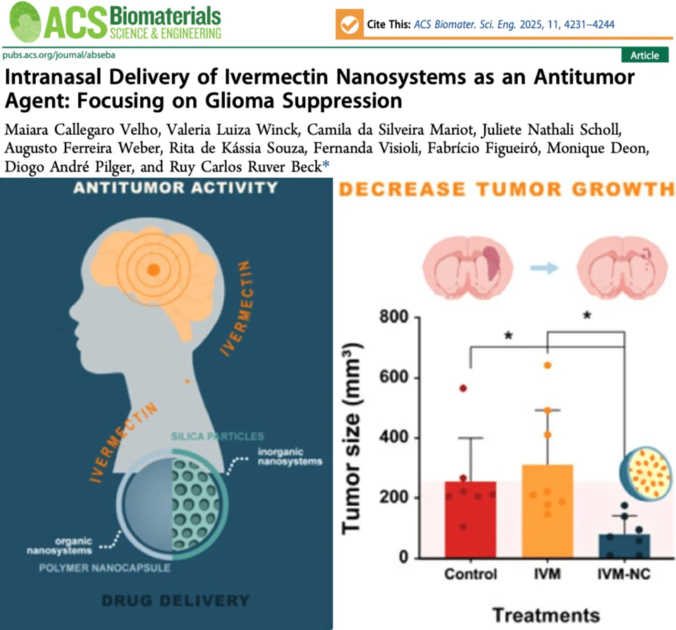Expose News: New study shows ivermectin shrinks brain tumors by 70%! Discover intranasal delivery's antitumor potential in this captivating research image.