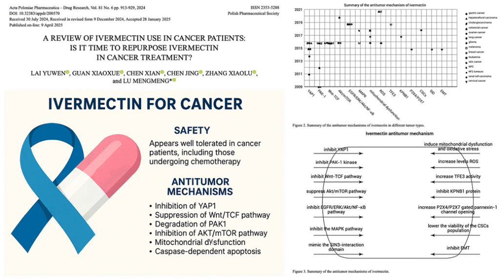Expose News: Tabloid shocker: New study shows ivermectin shrinks brain tumors by 70%! Discover its potential in cancer treatment with these antitumor insights.