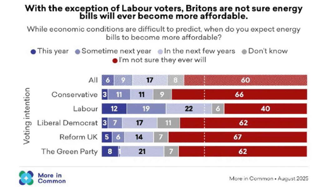 Expose News: Chart shows UK voters losing faith in cheaper energy bills, sparking political confidence collapse. Only Labour optimistic, others doubtful.
