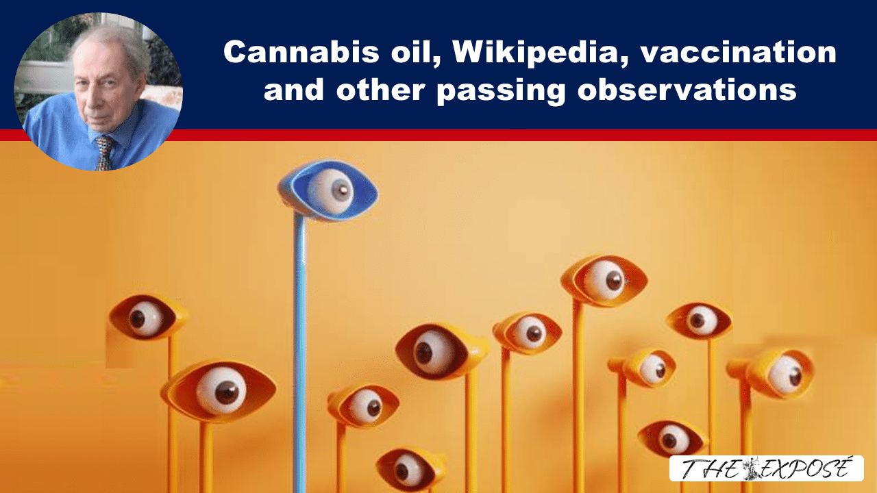 Cannabis oil, Wikipedia, vaccination and other passing observations - The Expose thumbnail