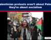Expose News: Is it about Palestine, or is it about something else? See the Pro-Palestinian protests spark debate on socialism! Shocking scenes unveiled.