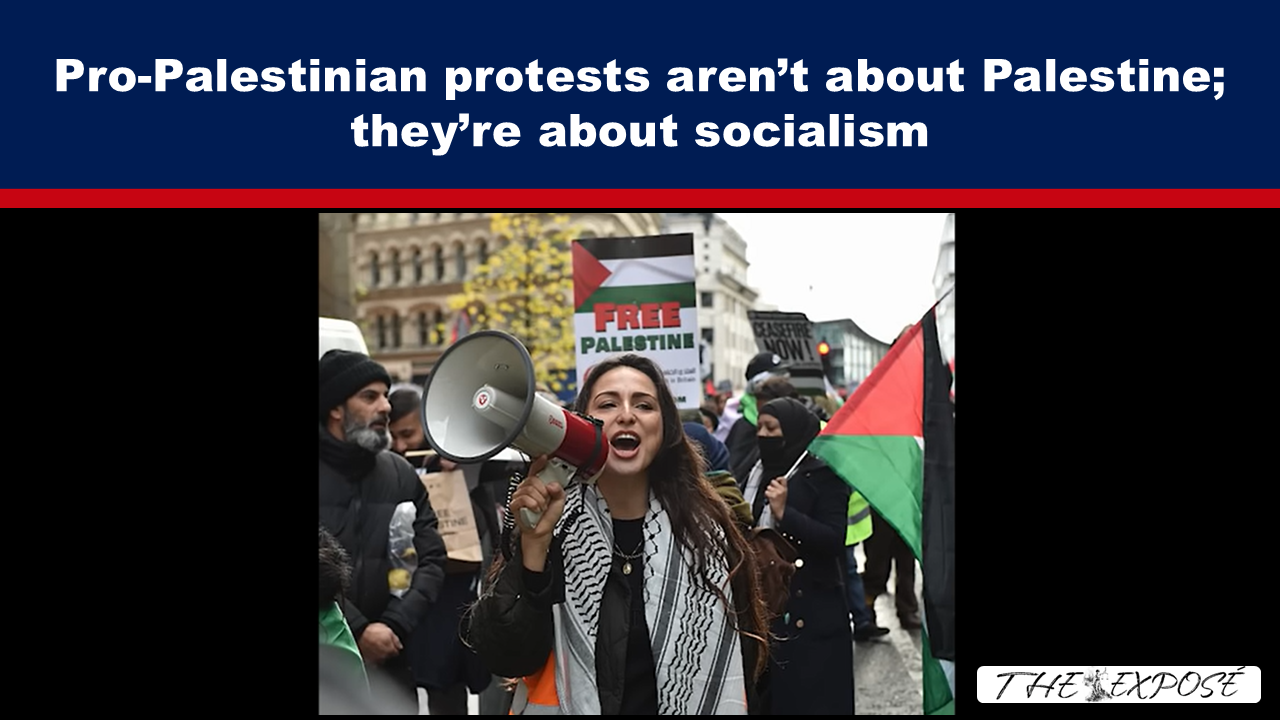 Pro-Palestinian protests aren’t about Palestine; they’re about socialism