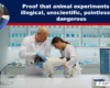 Expose News: SHOCK REPORT: Is this the final straw? New Evidence exposes that animal experiments are illogical, unscientific, pointless and dangerous! The truth uncovered now!