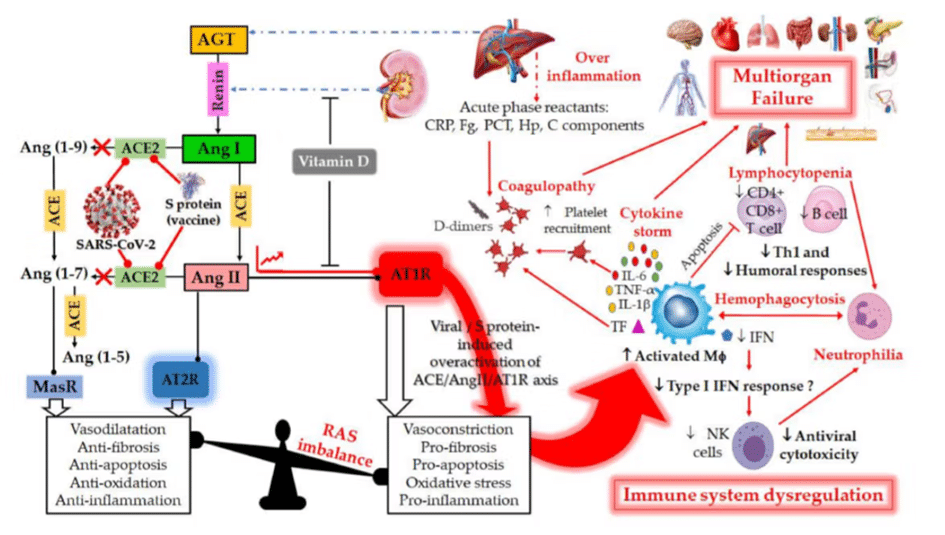 Expose News: Docs claiming Pfizer & AstraZeneca jabs don't cause blood clots, heart attacks, or strokes? We're calling BS! #CovidVaccine #BigPharmaLies - The Expose Expose News: Docs claiming Pfizer & AstraZeneca jabs don't cause blood clots, heart attacks, or strokes? We're calling BS! #CovidVaccine #BigPharmaLies