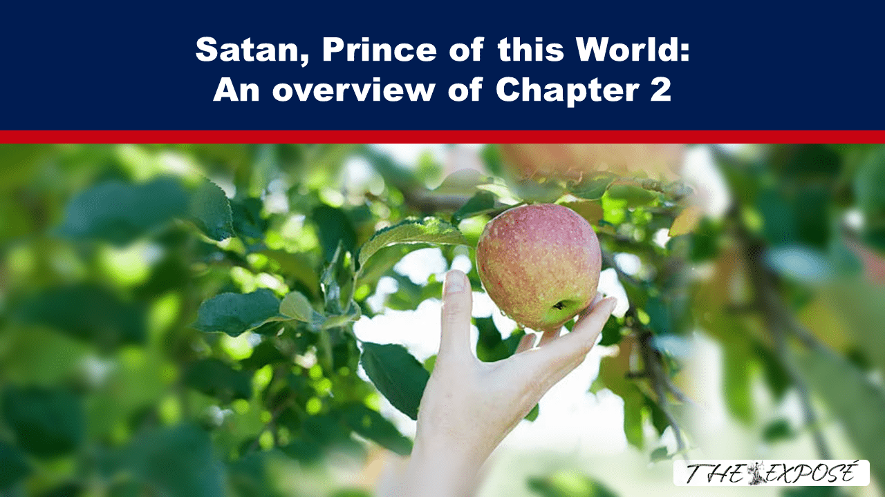 FebFeat17 - The Expose