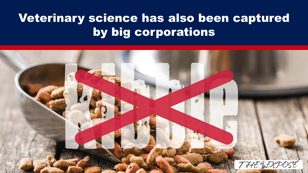 Expose News: Scandal! Big corporations take over veterinary science with kibble mystery exposed. - The Expose Expose News: Scandal! Big corporations take over veterinary science with kibble mystery exposed.