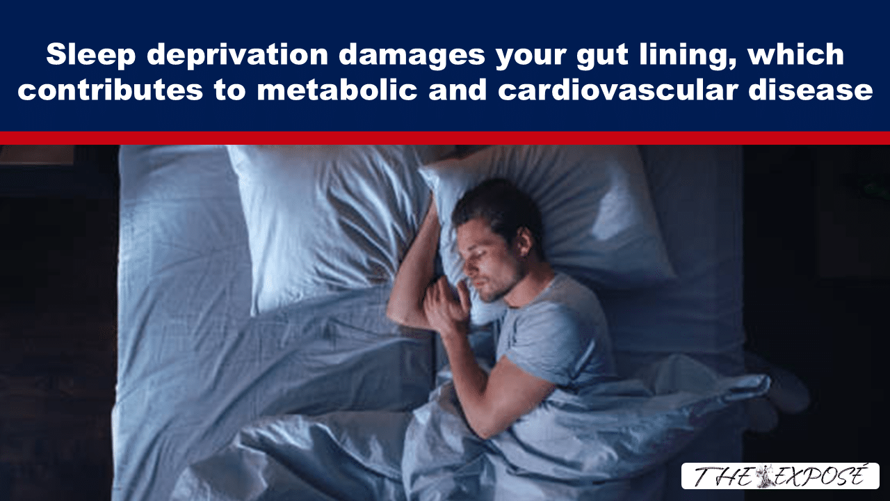 Sleep deprivation damages your gut lining, which contributes to metabolic and cardiovascular disease - The Expose thumbnail