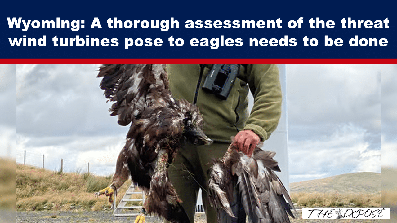 Wyoming: A thorough assessment of the threat wind turbines pose to eagles needs to be done