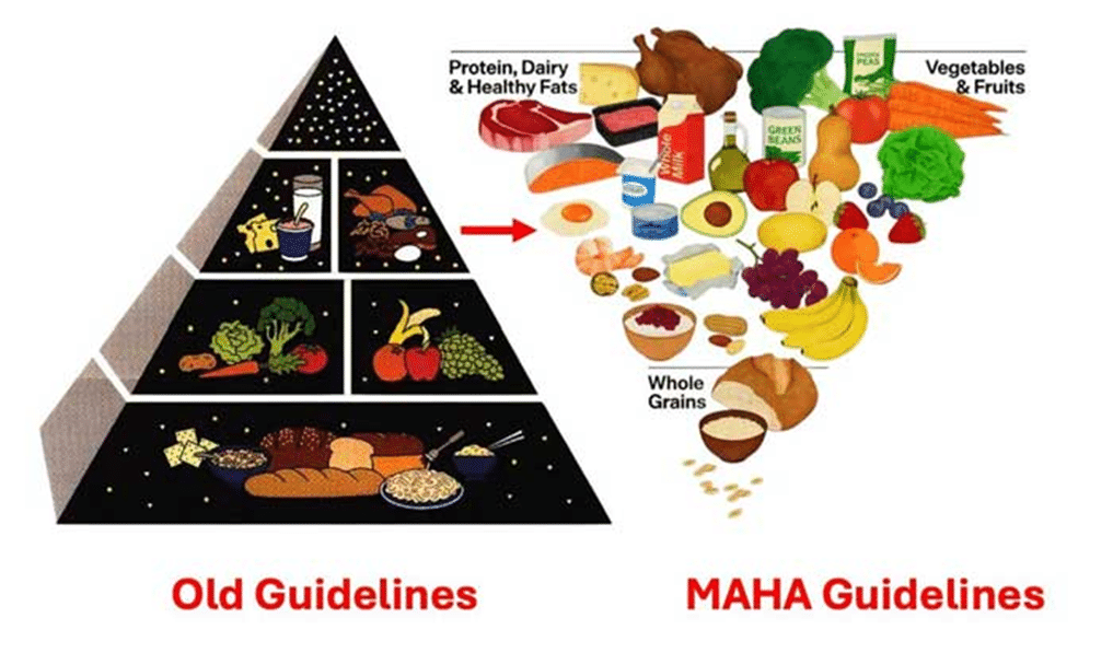 Expose News: Shocking truth! Old food guidelines pushed statins, but they don't reduce heart disease and have nasty side effects. See the MAHA guidelines! - The Expose Expose News: Shocking truth! Old food guidelines pushed statins, but they don't reduce heart disease and have nasty side effects. See the MAHA guidelines!