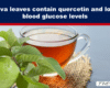 Banner text: 'Guava leaves contain quercetin and lower blood glucose levels' over a photo of guava leaves and a cup of tea on burlap.