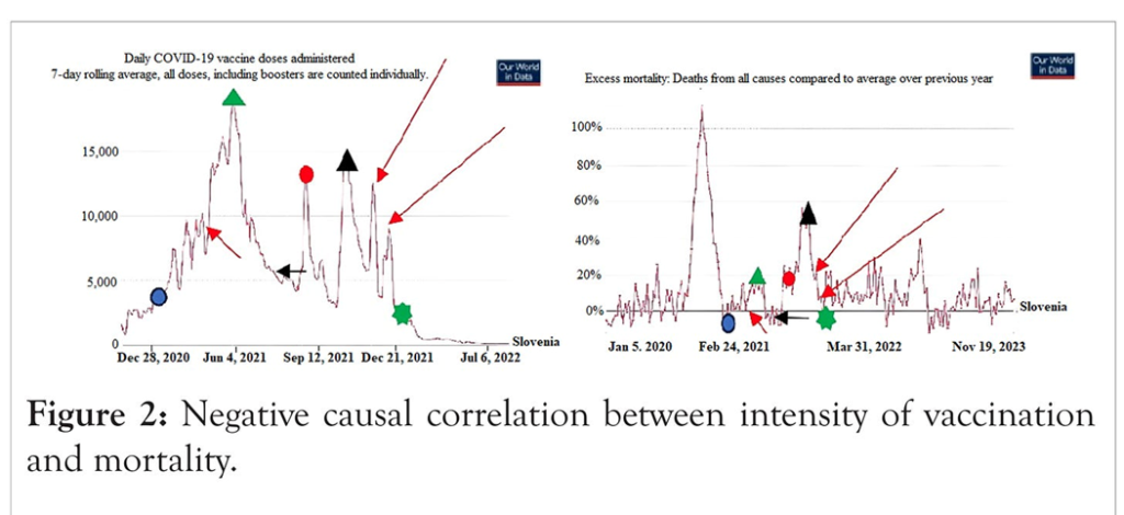 Two line charts comparing (left) daily COVID-19 vaccine doses administered and (right) excess mortality over time, with colored markers; Slovenia data shown; caption states a negative causal correlation between vaccination intensity and mortality.
